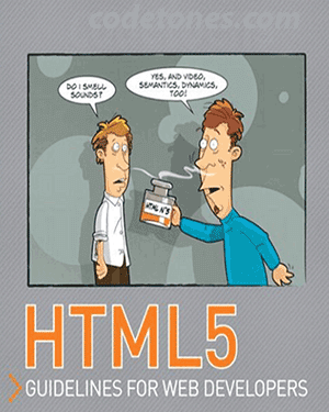HTML5 Guidelines for Web Developers