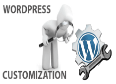 WordPress Customization
