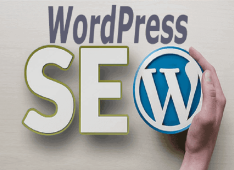 WordPress Website SEO