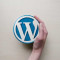 How To Build Own Website Easily With WordPress